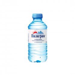 Пилигрим - вода Минеральная природная столовая питьевая 0.25 литра, без газа, пэт, 8 шт. в уп. - 1