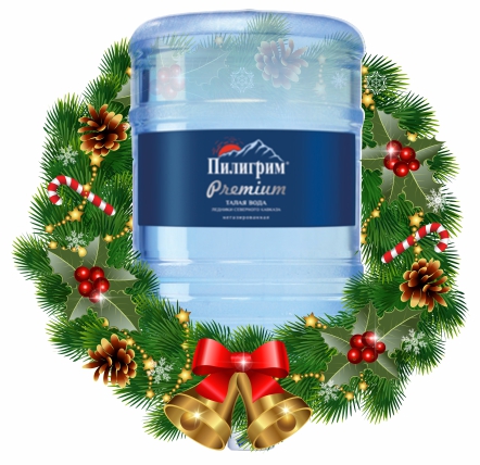Пилигрим Premium - вода Минеральная природная столовая питьевая вода 19 литров негазированная - 2