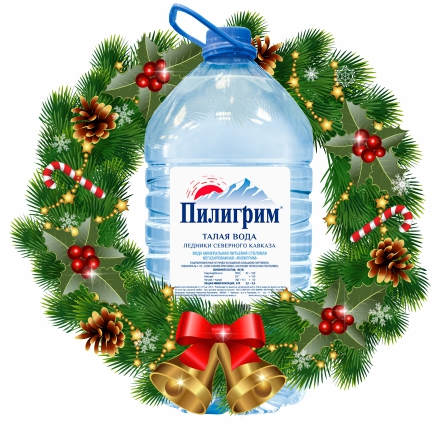 Пилигрим - вода Минеральная природная столовая питьевая 5 литров, без газа, пэт, 2 шт. в уп. - 2